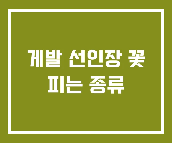 게발 선인장 꽃 피는 종류