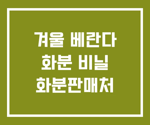 겨울 베란다 화분 비닐 화분판매처