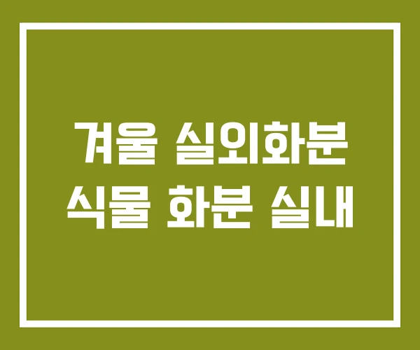 겨울 실외화분 식물 화분 실내