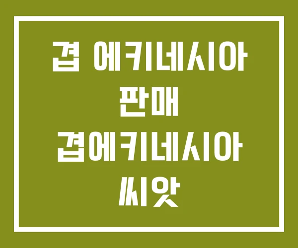 겹 에키네시아 판매 겹에키네시아 씨앗