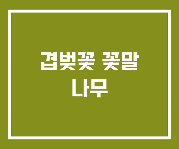 겹벚꽃 꽃말 나무