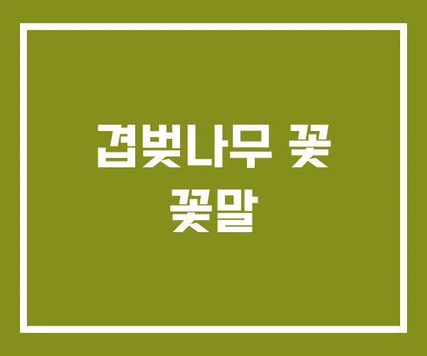 겹벚나무 꽃 꽃말