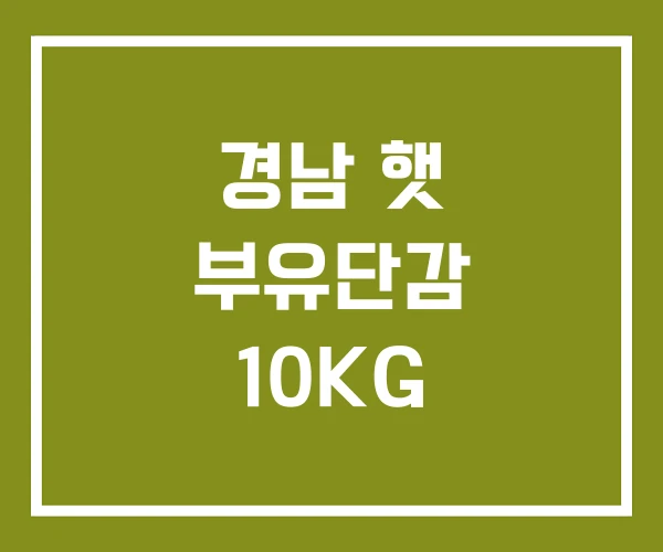 경남 햇 부유단감 10KG