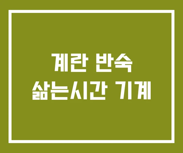 계란 반숙 삶는시간 기계