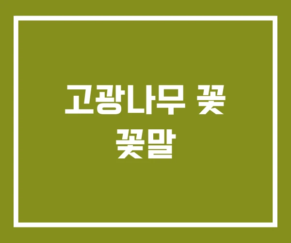 고광나무 꽃 꽃말