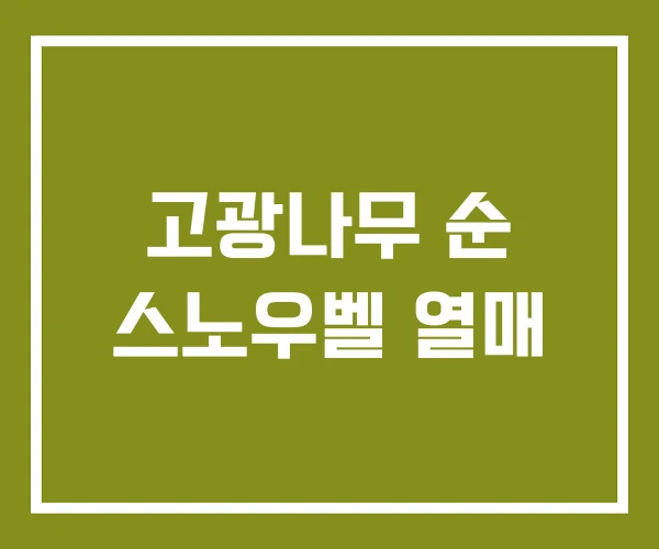 고광나무 순 스노우벨 열매
