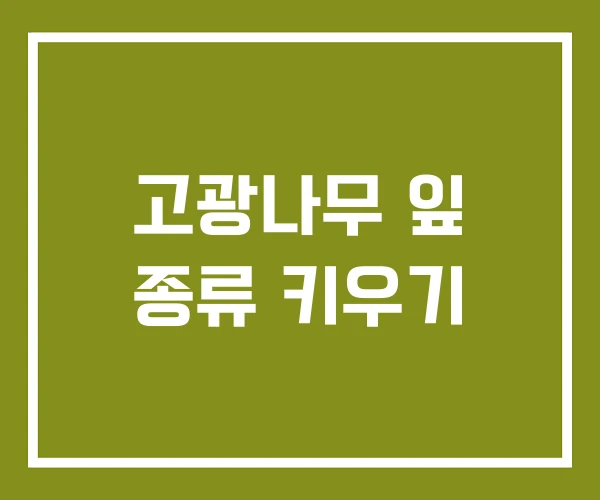 고광나무 잎 종류 키우기