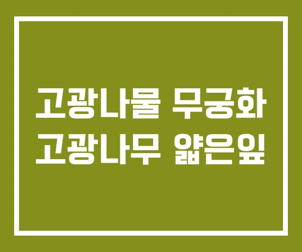 고광나물 무궁화 고광나무 얇은잎