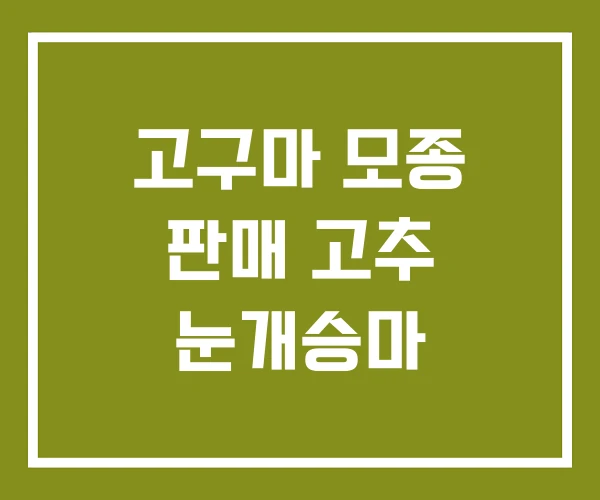 고구마 모종 판매 고추 눈개승마