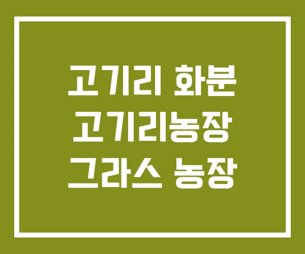 고기리 화분 고기리농장 그라스 농장