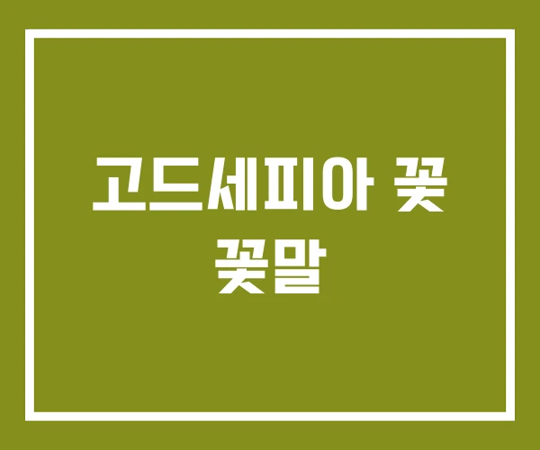 고드세피아 꽃 꽃말