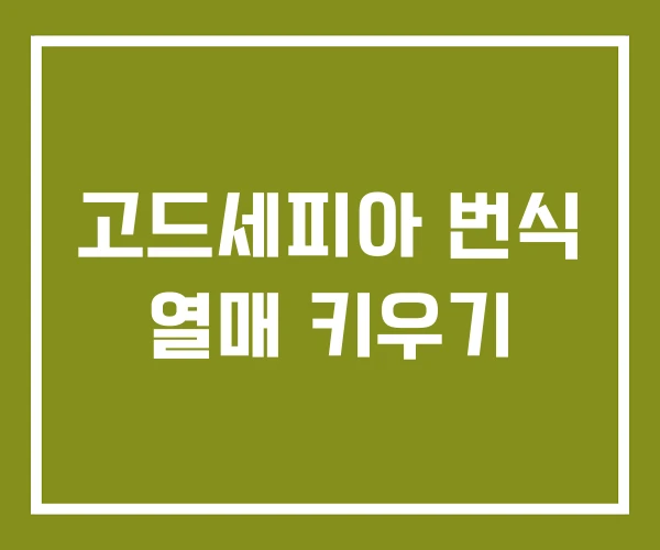 고드세피아 번식 열매 키우기
