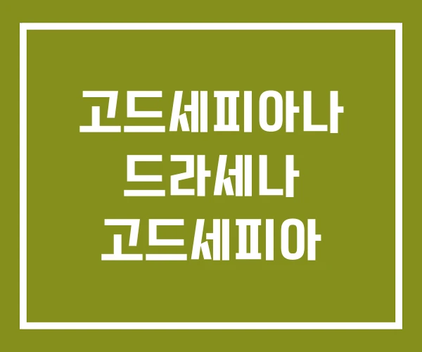 고드세피아나 드라세나 고드세피아