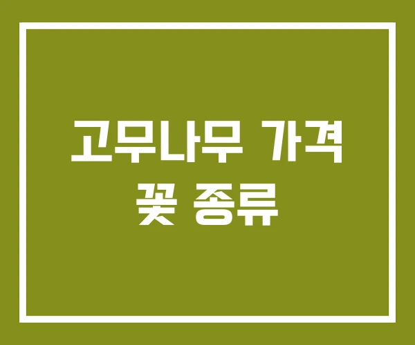 고무나무 가격 꽃 종류