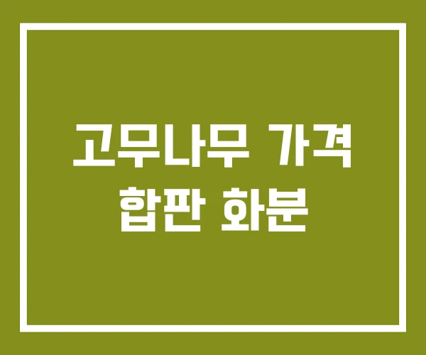 고무나무 가격 합판 화분