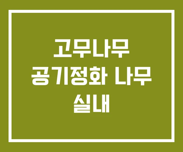 고무나무 공기정화 나무 실내