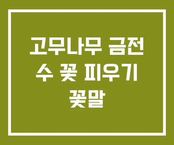 고무나무 금전 수 꽃 피우기 꽃말