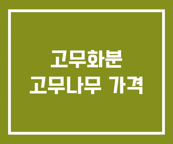 고무화분 고무나무 가격
