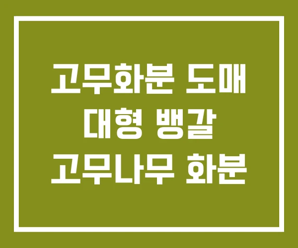 고무화분 도매 대형 뱅갈 고무나무 화분