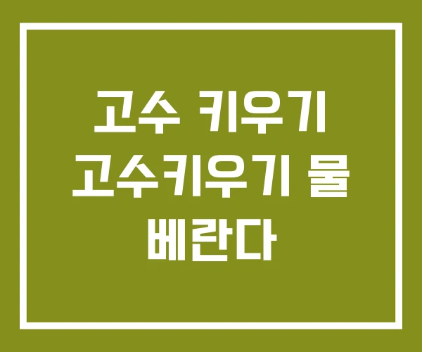 고수 키우기 고수키우기 물 베란다