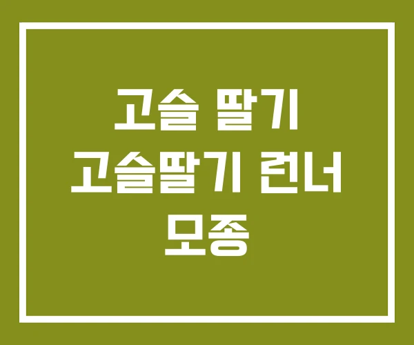 고슬 딸기 고슬딸기 런너 모종