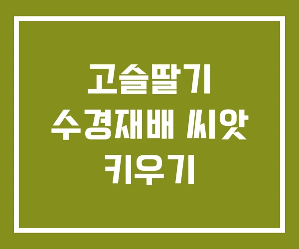 고슬딸기 수경재배 씨앗 키우기
