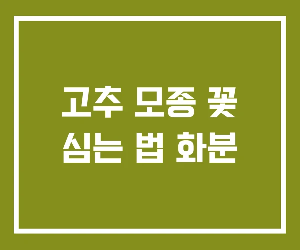 고추 모종 꽃 심는 법 화분