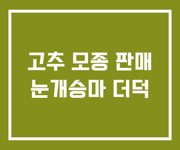 고추 모종 판매 눈개승마 더덕