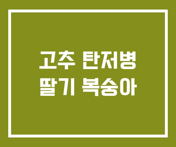 고추 탄저병 딸기 복숭아