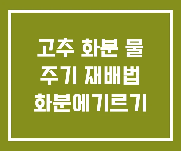 고추 화분 물 주기 재배법 화분에기르기