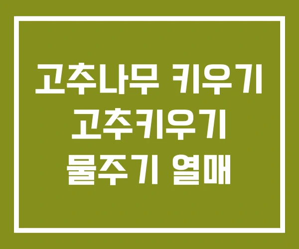 고추나무 키우기 고추키우기 물주기 열매