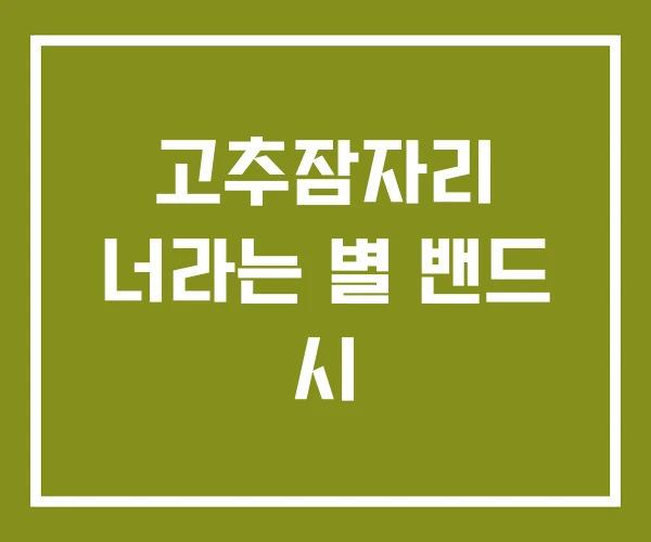 고추잠자리 너라는 별 밴드 시