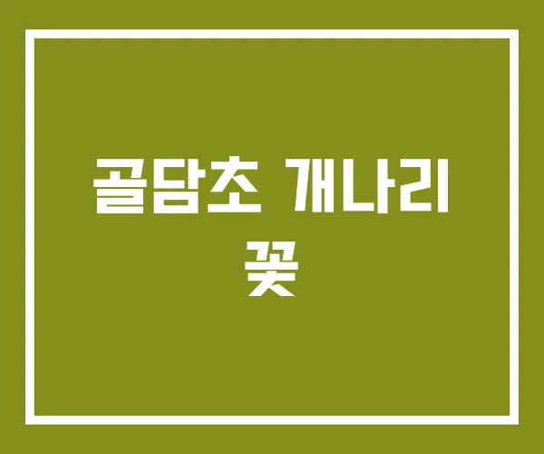 골담초 개나리 꽃