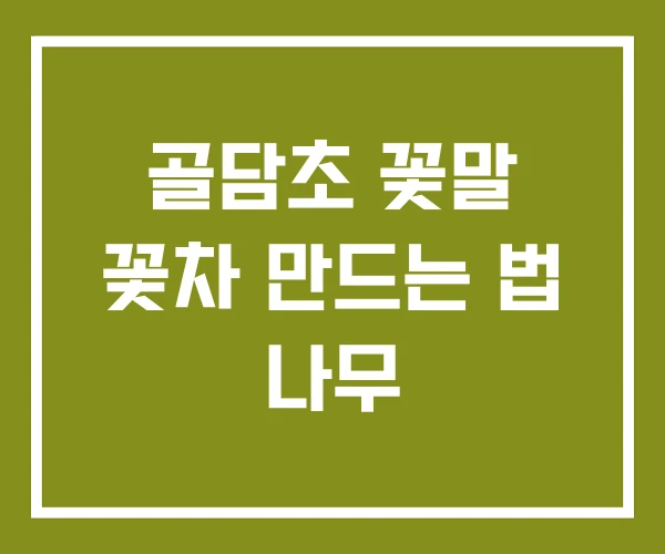 골담초 꽃말 꽃차 만드는 법 나무