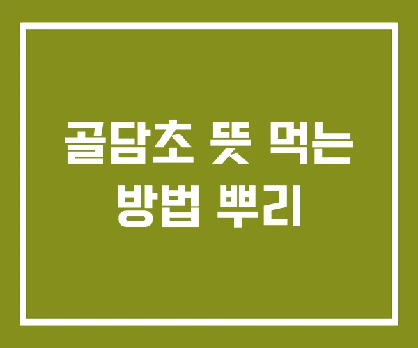 골담초 뜻 먹는 방법 뿌리