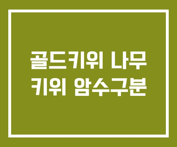 골드키위 나무 키위 암수구분