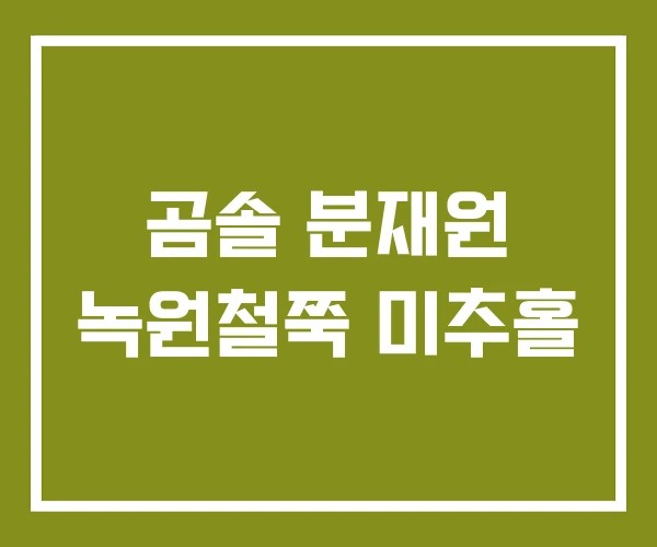 곰솔 분재원 녹원철쭉 미추홀