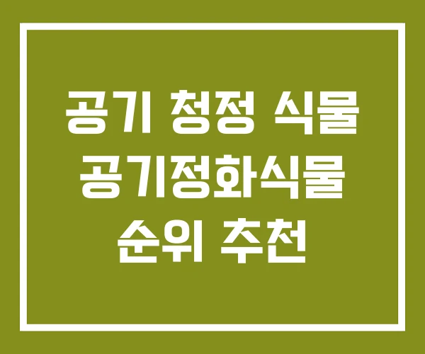 공기 청정 식물 공기정화식물 순위 추천