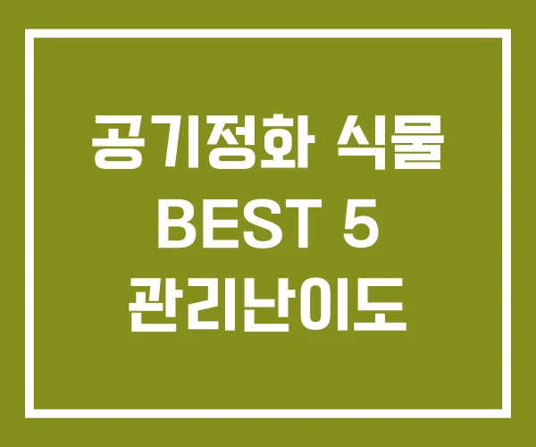 공기정화 식물 BEST 5 관리난이도