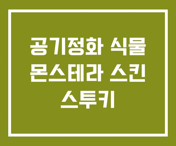 공기정화 식물 몬스테라 스킨 스투키