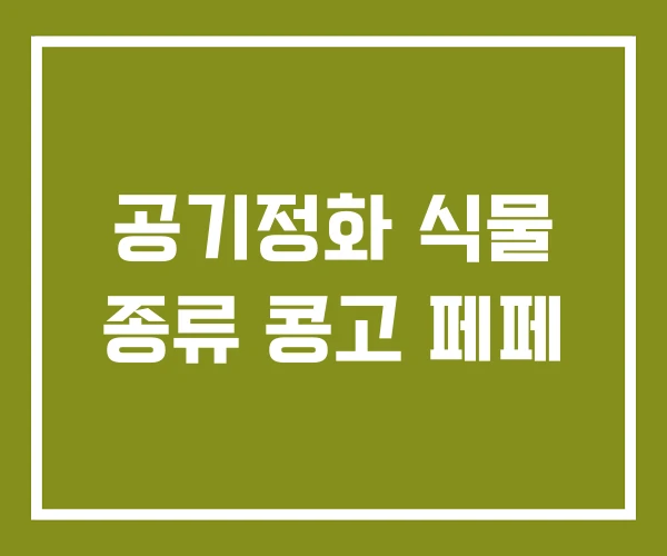 공기정화 식물 종류 콩고 페페