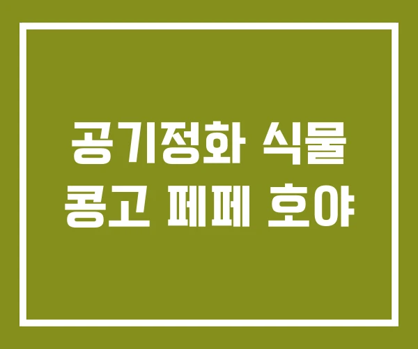 공기정화 식물 콩고 페페 호야