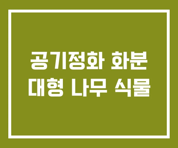 공기정화 화분 대형 나무 식물