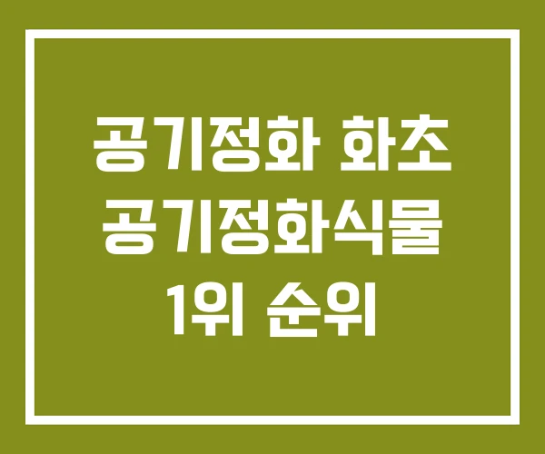 공기정화 화초 공기정화식물 1위 순위