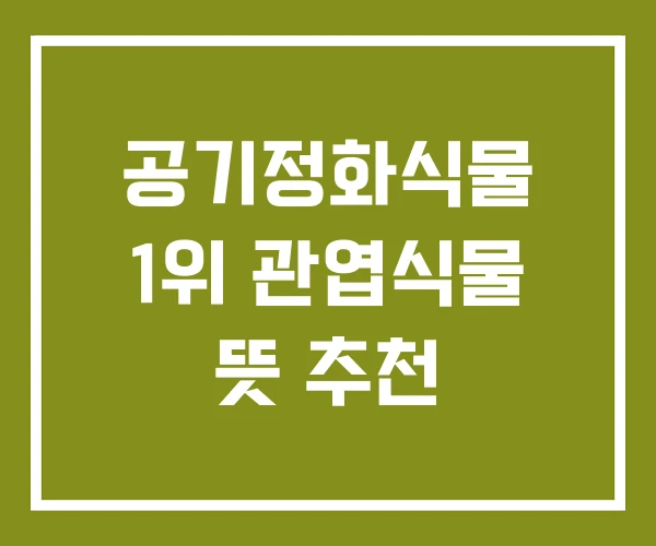 공기정화식물 1위 관엽식물 뜻 추천