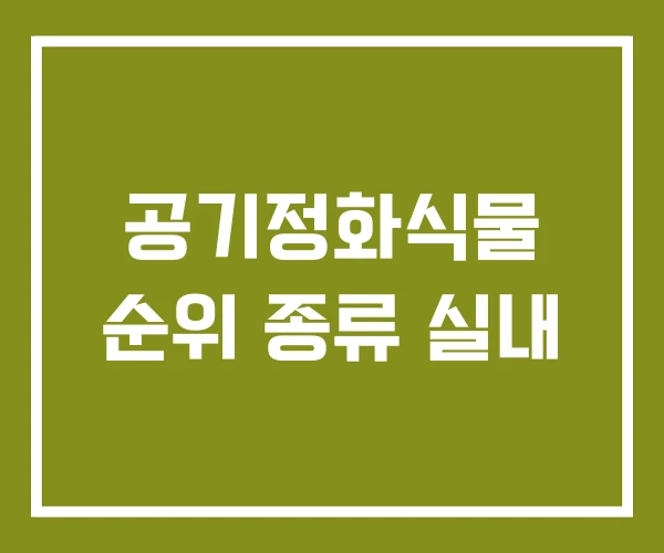 공기정화식물 순위 종류 실내