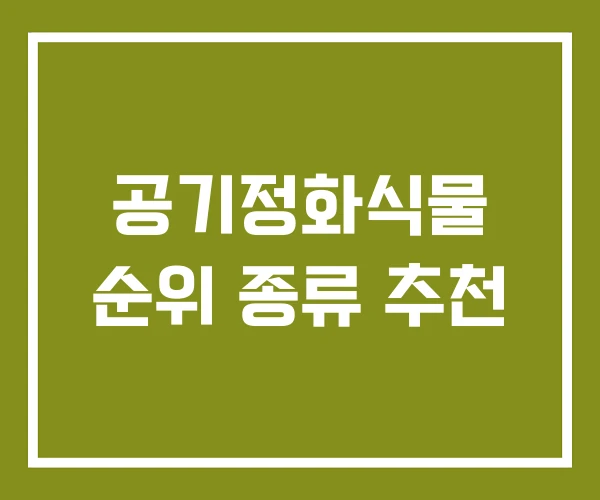 공기정화식물 순위 종류 추천