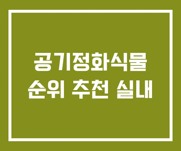 공기정화식물 순위 추천 실내
