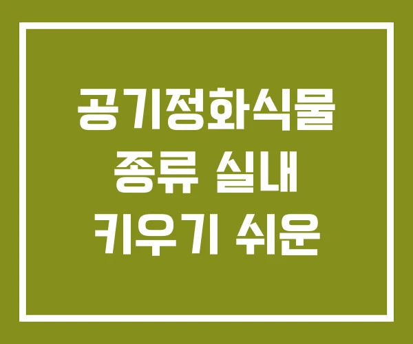 공기정화식물 종류 실내 키우기 쉬운