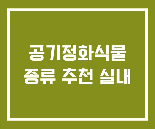 공기정화식물 종류 추천 실내